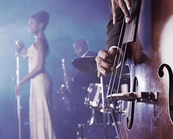 Reel Deal Band  - Photo 5
