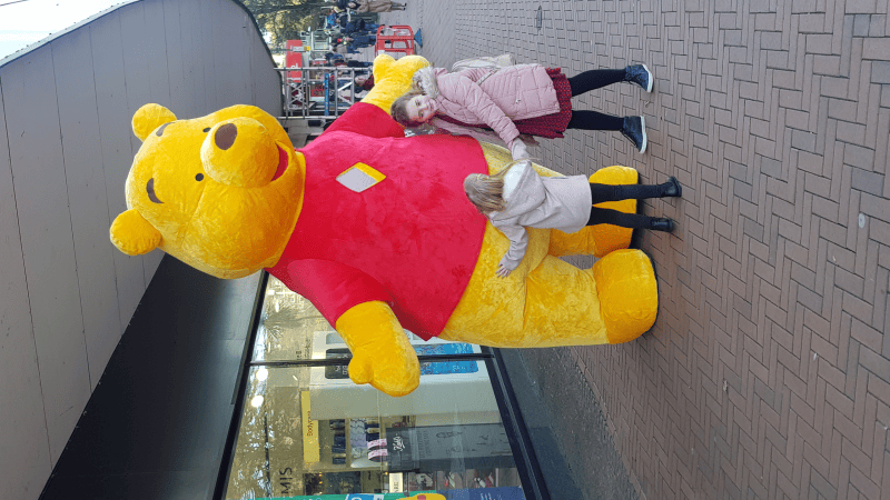 Giant cuddly friends  - Photo 2