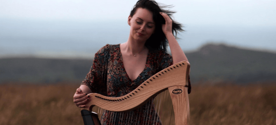 Harp and Vocals  - Photo 3