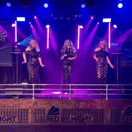 Baby Love Motown Tribute  - Photo 16