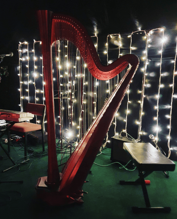 Aoife Miralles, Harpist - Photo 3