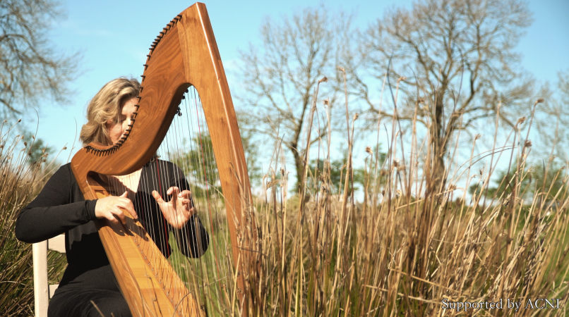 Lucia McGinnis Harpist - Photo 7
