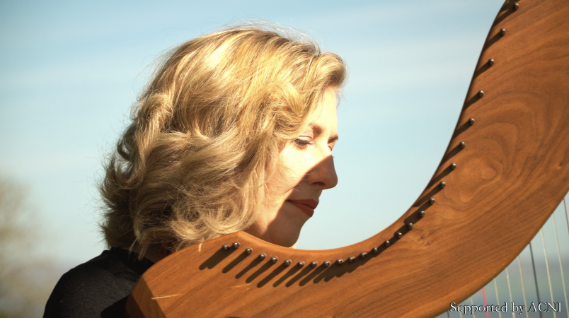 Lucia McGinnis Harpist - Photo 8