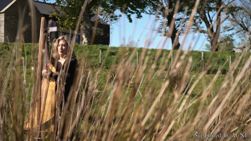 Lucia McGinnis Harpist - Photo 11