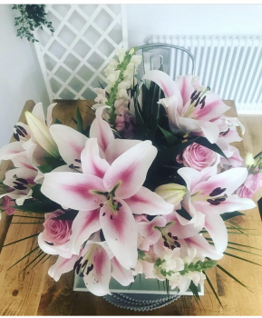Tanya Murphy