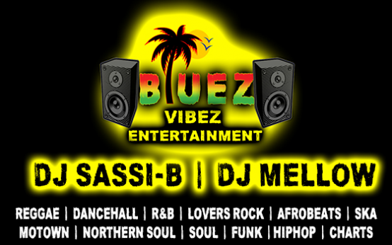 Bluez Vibez Ent.