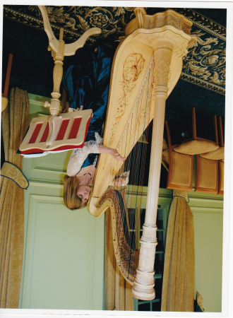 oxfordshire harpist - Photo 2