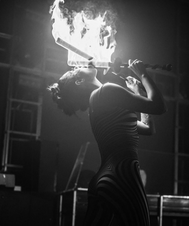 Fire Performance - Photo 5
