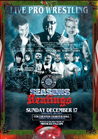 Professional Wrestling  - Photo 2