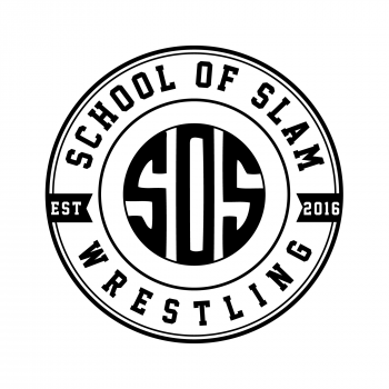Professional Wrestling 