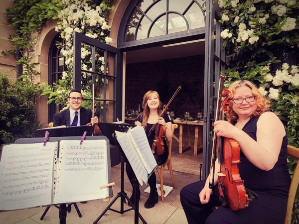 Vitula String Quartet - Photo 4