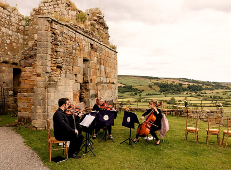 Vitula String Quartet