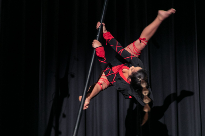 Ninja flying pole - Photo 2