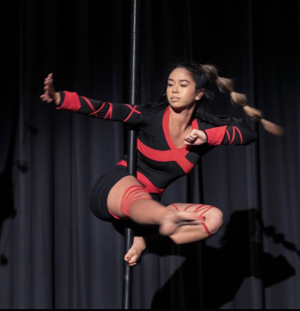 Ninja flying pole - Photo 3