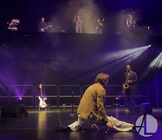 FosseyTango - Photo 2