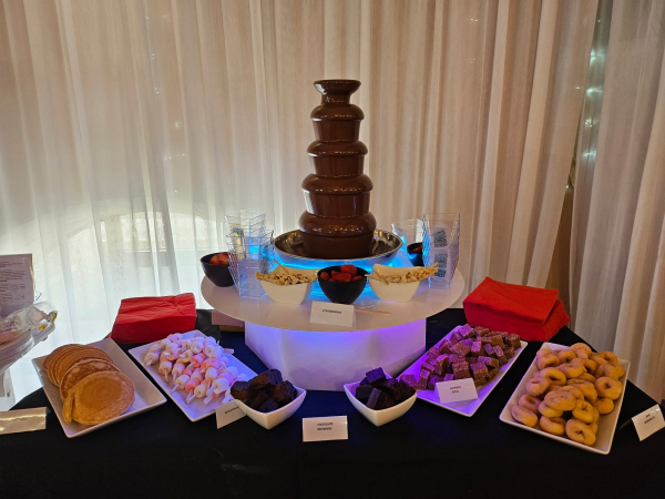 Chocolate Fountain - Photo 4