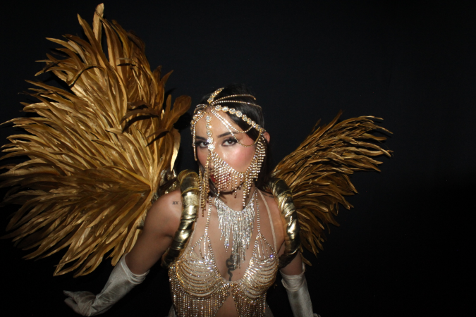 Arabian Night Showgirl Dancers - Photo 5