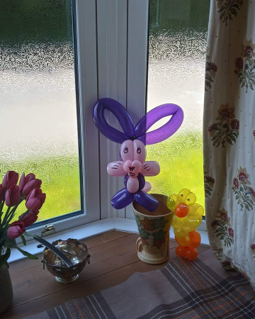 Amazing balloon animals for the party - Photo 11