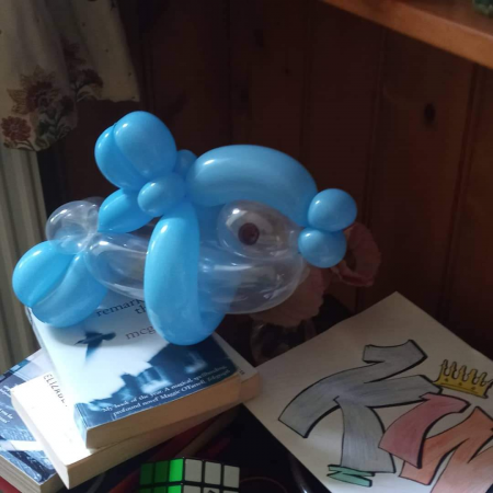 Amazing balloon animals for the party - Photo 13