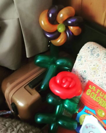 Amazing balloon animals for the party - Photo 14