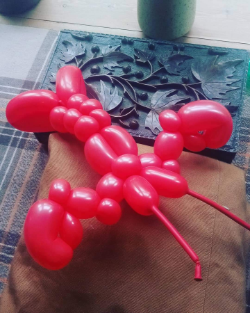 Amazing balloon animals for the party - Photo 15