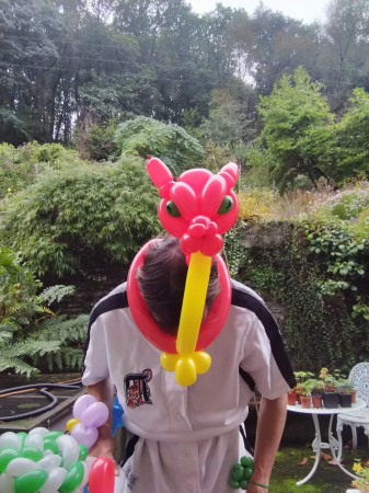 Amazing balloon animals for the party - Photo 17