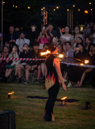Fire Show Spectacular!  - Photo 4