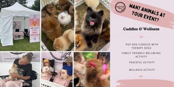 Patacake Paws Cuddles & Wellness