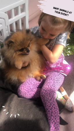 Patacake Paws Cuddles & Wellness - Photo 4