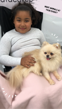 Patacake Paws Cuddles & Wellness - Photo 5