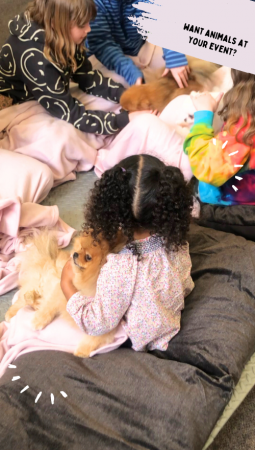 Patacake Paws Cuddles & Wellness - Photo 8