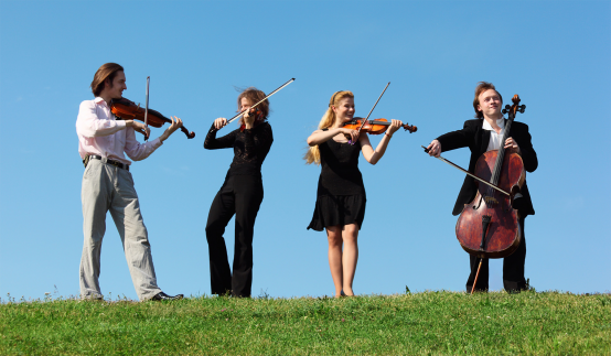 The Bristol String Quartet