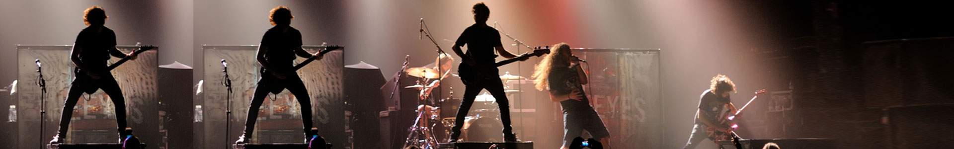  Bands & Musicians